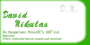 david mikulas business card